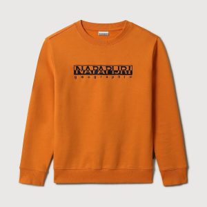 Beber C2 Crewneck
( Winter )